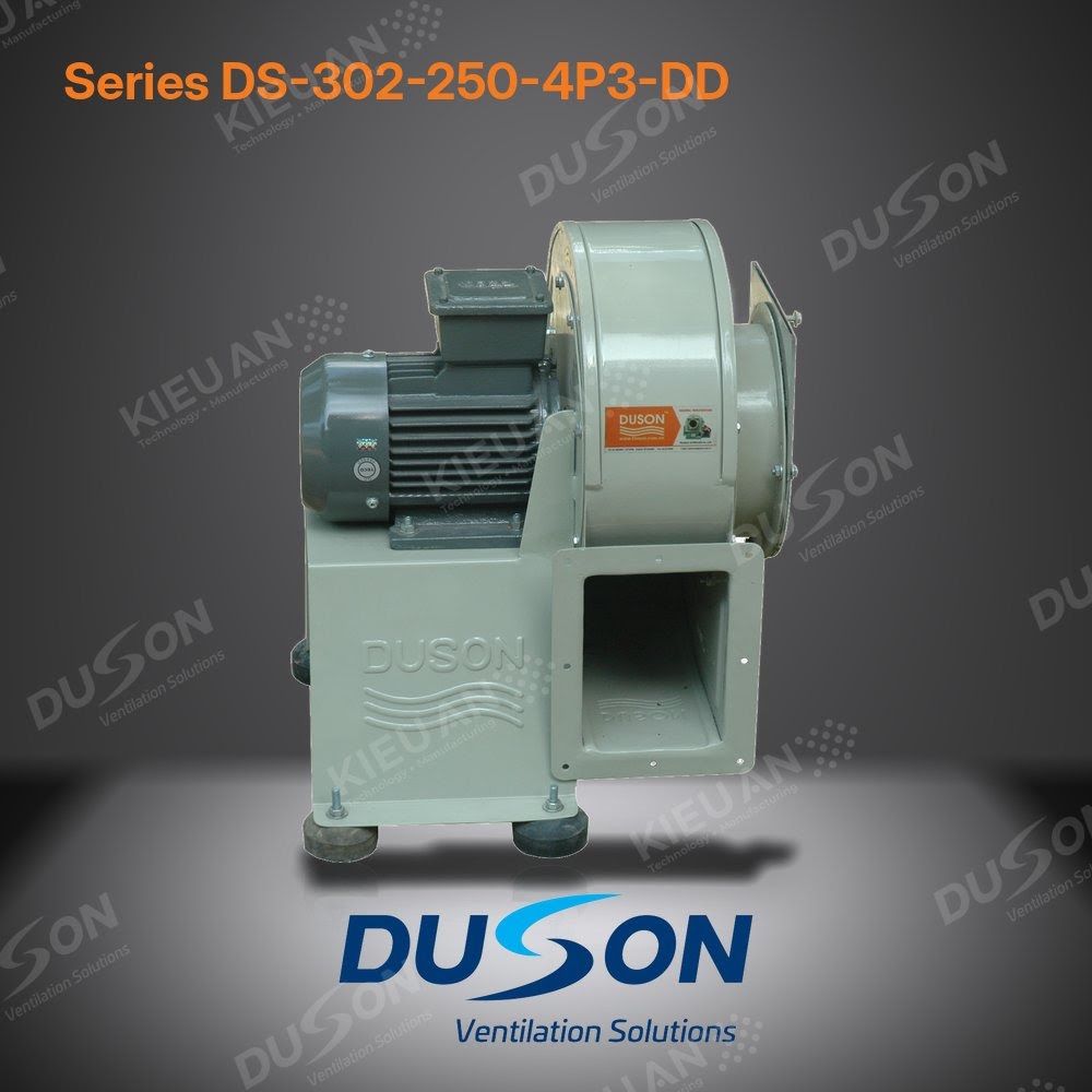 Quạt li tâm hút khói bếp DUSON DS-302-250-4P3-DD