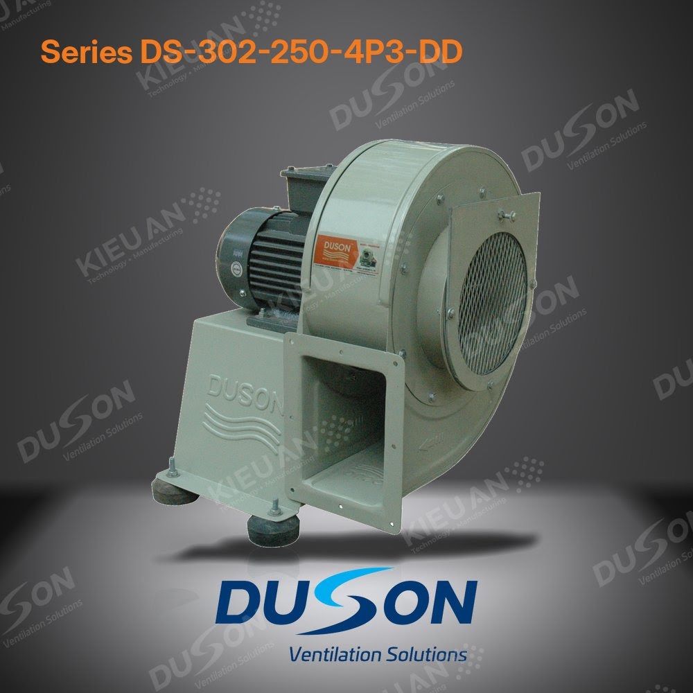 Quạt li tâm hút khói bếp DUSON DS-302-250-4P3-DD