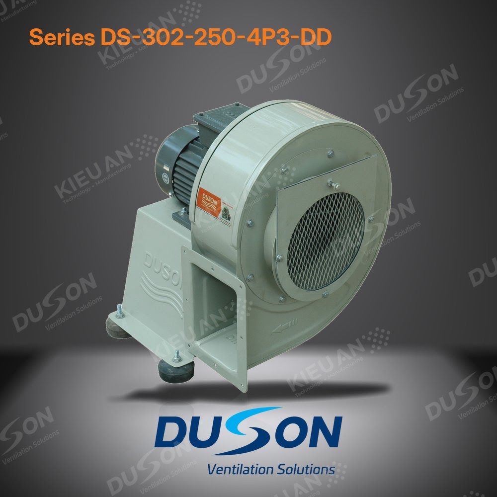 Quạt li tâm hút khói bếp DUSON DS-302-250-4P3-DD